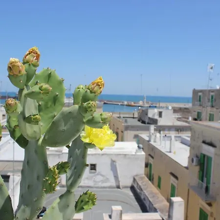 Vistafaro55 * Μολφέττα