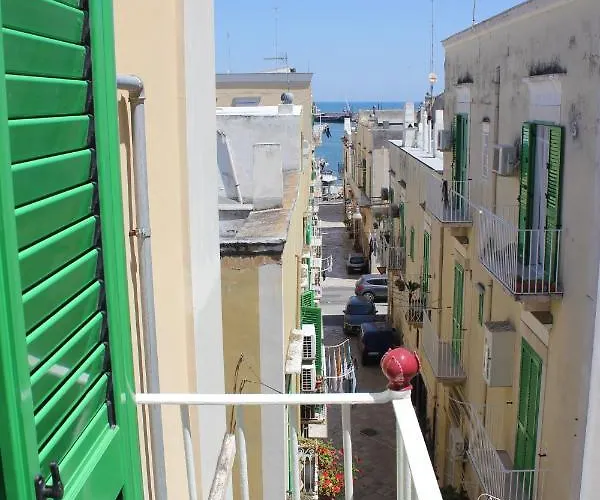 Vistafaro55 Apartamento *