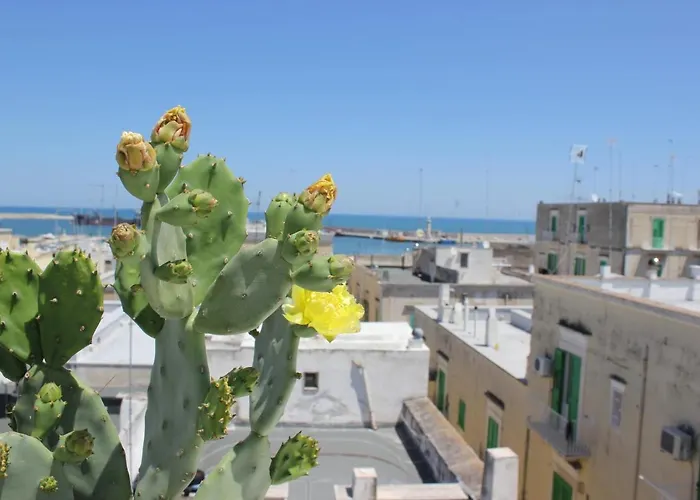 Vistafaro55 * Molfetta